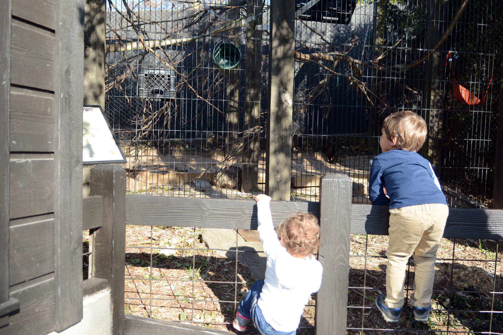 Scenes from Baraboo's Ochsner Park Zoo, Nov. 7, 2020